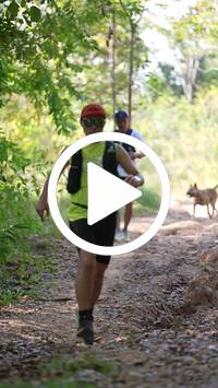 BIB:  <button type="button" onclick="openModal(27615957)" class="btn btn-primary btn-sm float-right" data-toggle="modal" data-target=".modal-high-quality">
                <i class="fa fa-download"></i> Download
                </button>